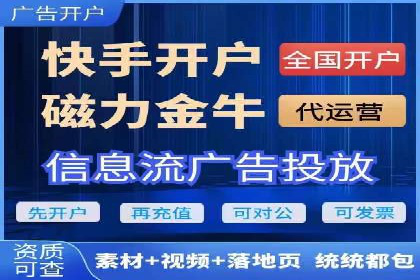SEM广告投放的竞价策略与效果评估案例